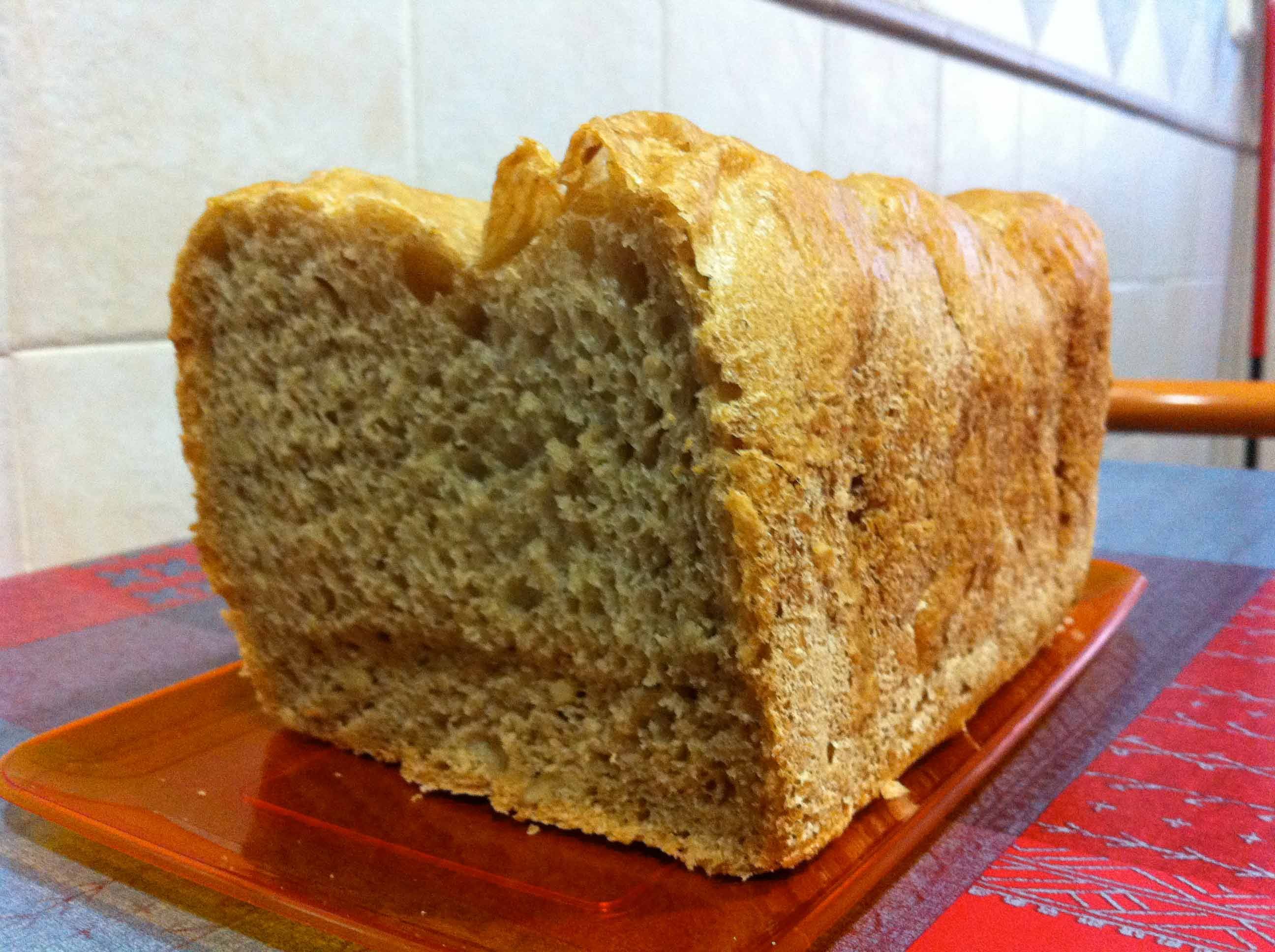 Pan de harina de girasol – 